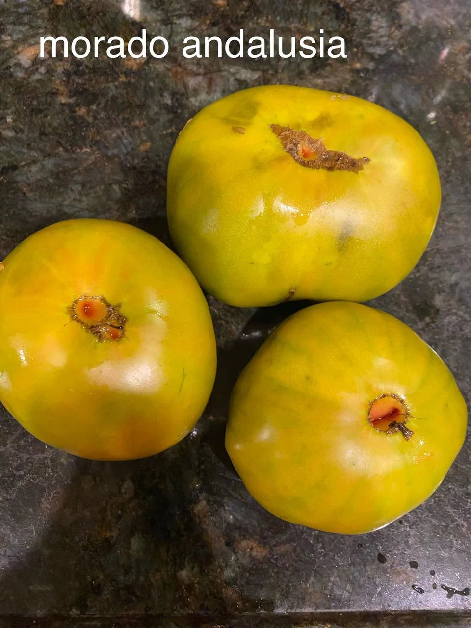 Morado Andalusia Tomato Seeds