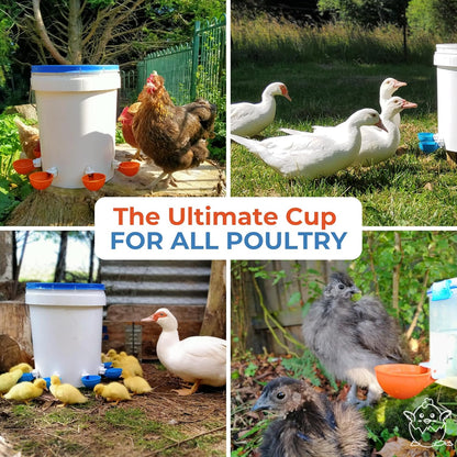 (5 Pack) Lil Clucker Large Automatic Chicken Waterer Cups | Chicken Water Feeder Suitable for Chicks, Duck, Goose, Turkey and Bunny | Poultry Water Feeder Kit (Orange)…