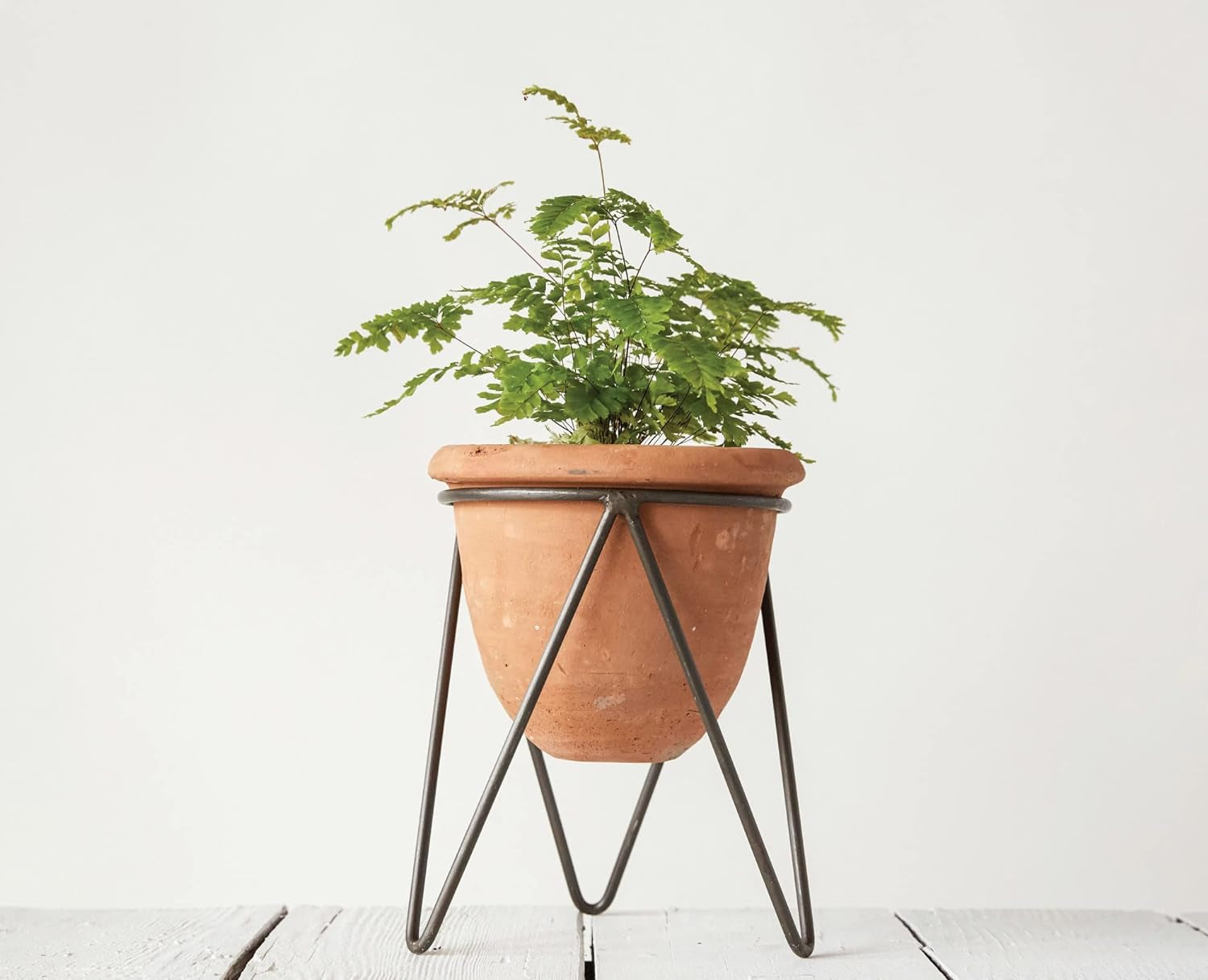 Terracotta Pot with Metal Stand