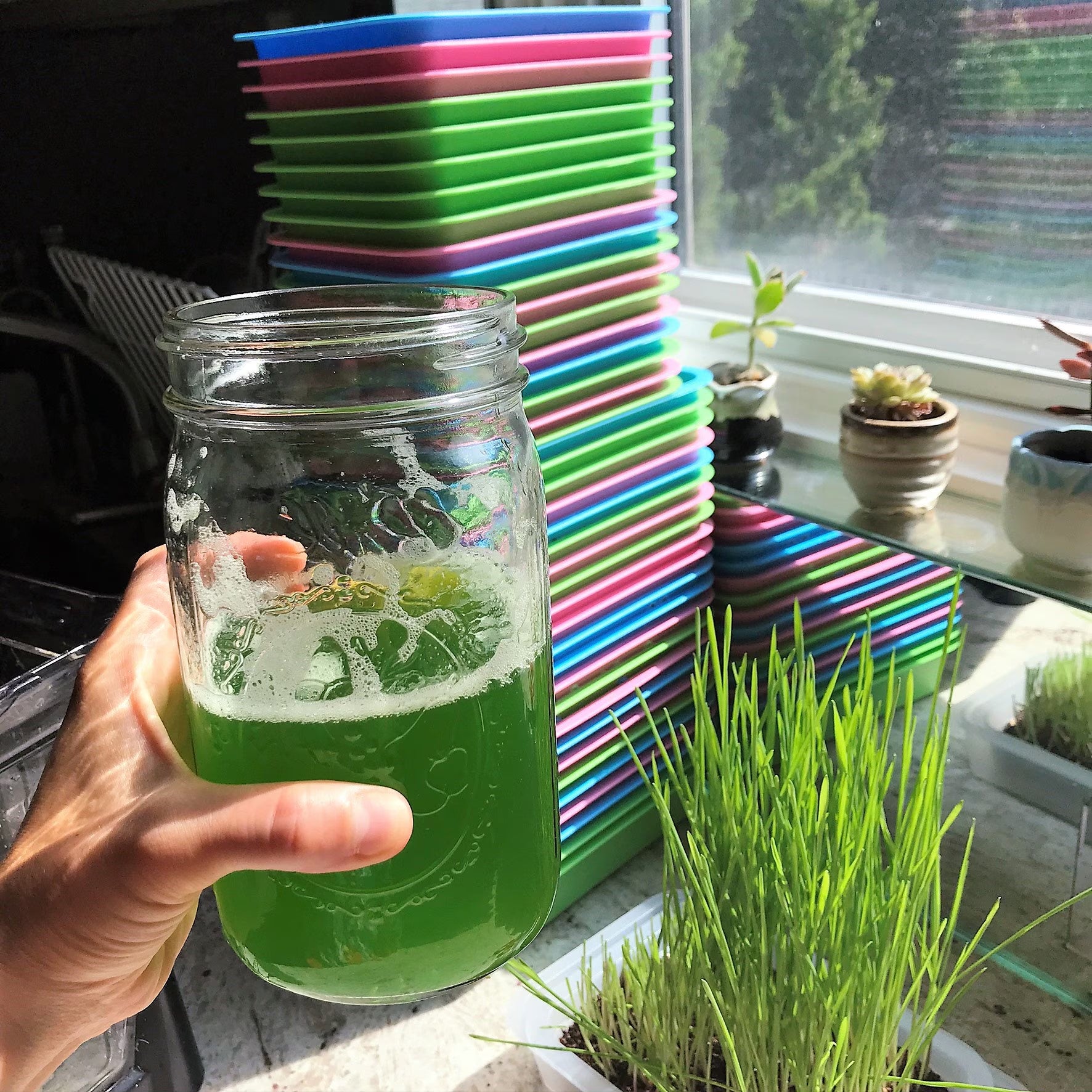 Reusable Windowsill Microgreens Planter + Tray, Food Safe, Dishwasher Safe, For Soil, Coco Coir or Peat, Easy to Bottom Water, Made in USA