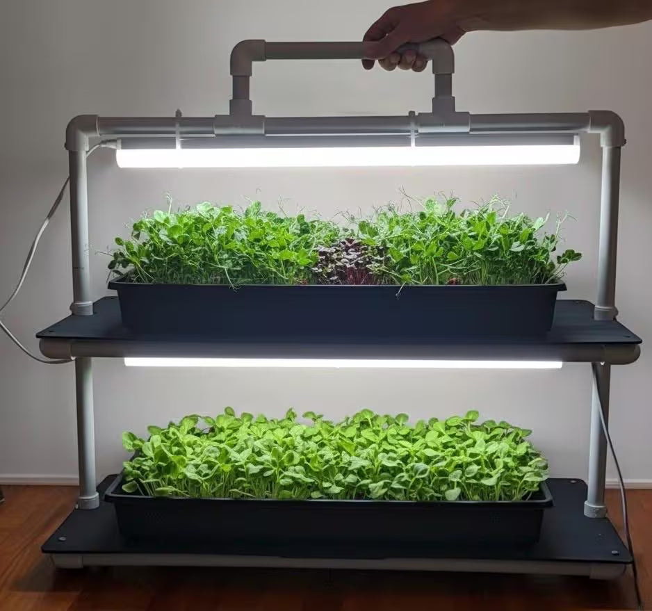 LED Grow Light Plant Stand with two Shelves & Two 10 W Full-Spectrum Light Bars for Seed Starting