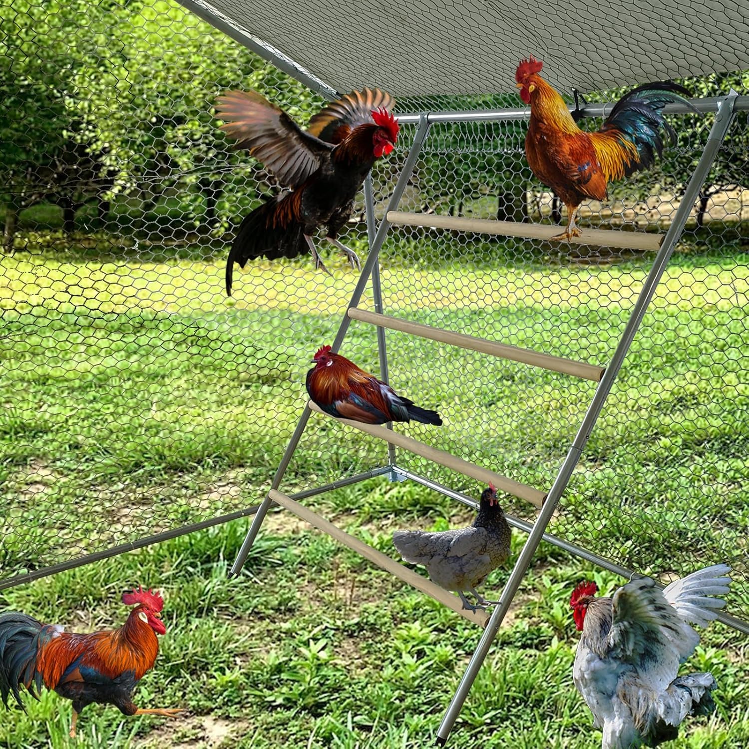 Chicken Perch Set for Chicken Coop, Chicken Roosting Ladder Sturdy and Easy Assembly Galvanized and Log Material, Chicken Roost Perfect for Backyard Poultry Funny Chicken Toys (40" W x 55" H)