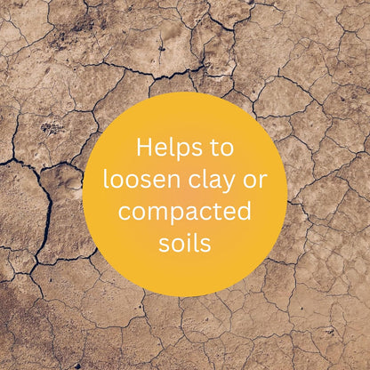 Fast Acting Gypsum—5 lb— Soil Conditioner Adds Calcium, Repairs Salt Damage & Root Growth with Nutri-Bond Runoff Reduction Technology