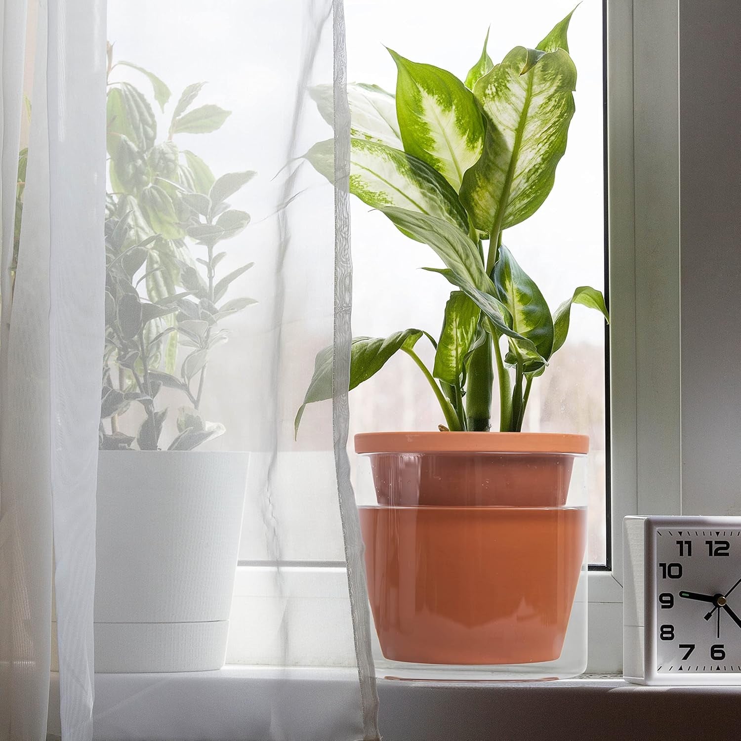 6 Inch Design Self Watering Pot for Indoor Plants, Terracotta Planter with Cylinder Glass Cup, Set of 2, 37-Y-B-1