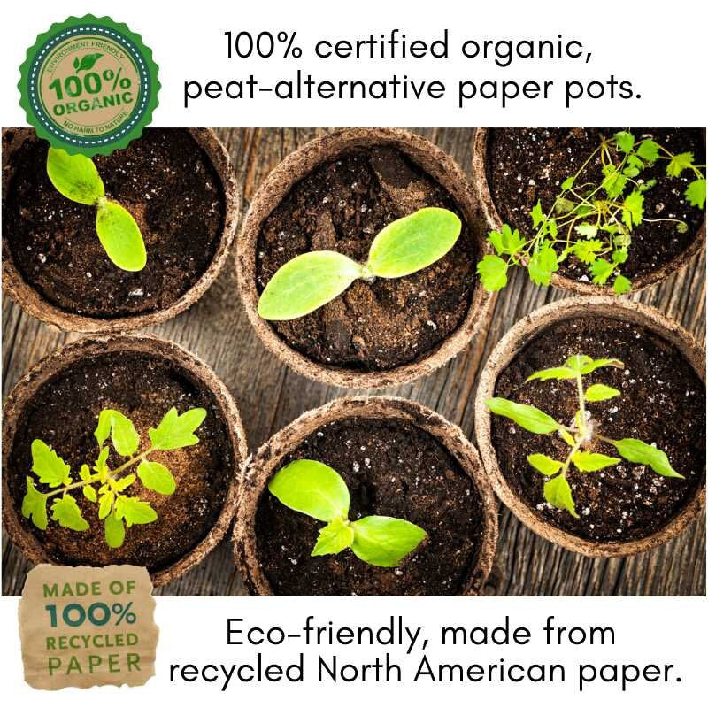 Picklers, Canners & Salsa Grow Kit | 500 Seeds, 20 Varieties + 60 Organic EcoPaper Seed Pots | Non-GMO, Resealable Bags, Peat-Alternative