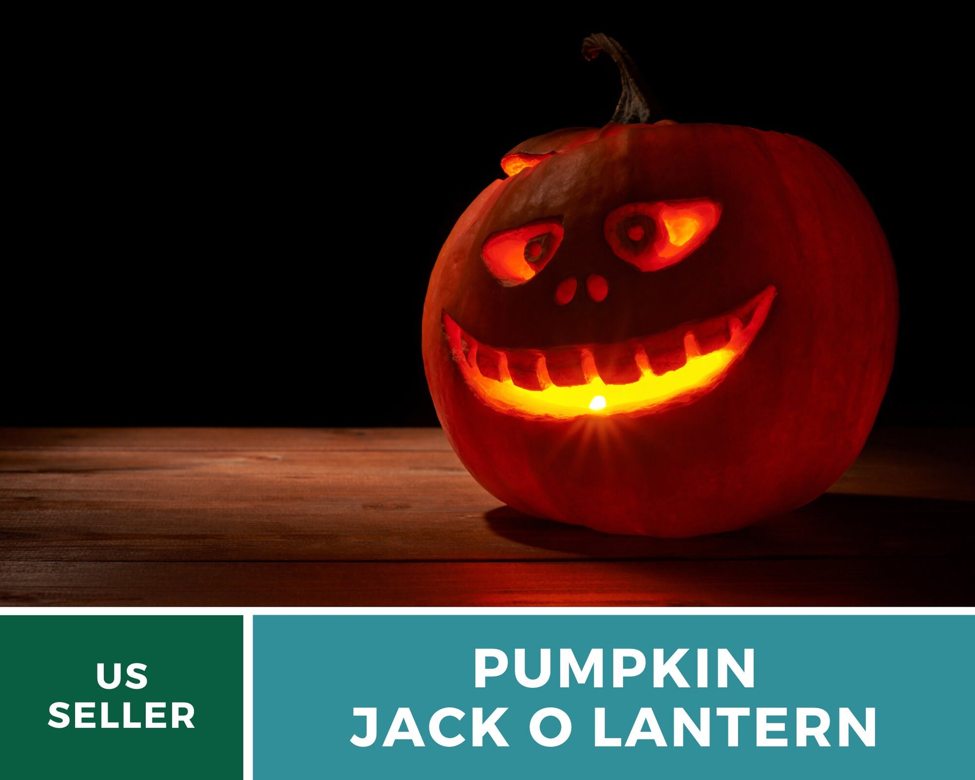 Jack O’Lantern Pumpkin Seeds – Heirloom Vegetable, Classic Carving Pumpkin, Non-GMO, Ideal for Halloween Decorations | 20 Seeds