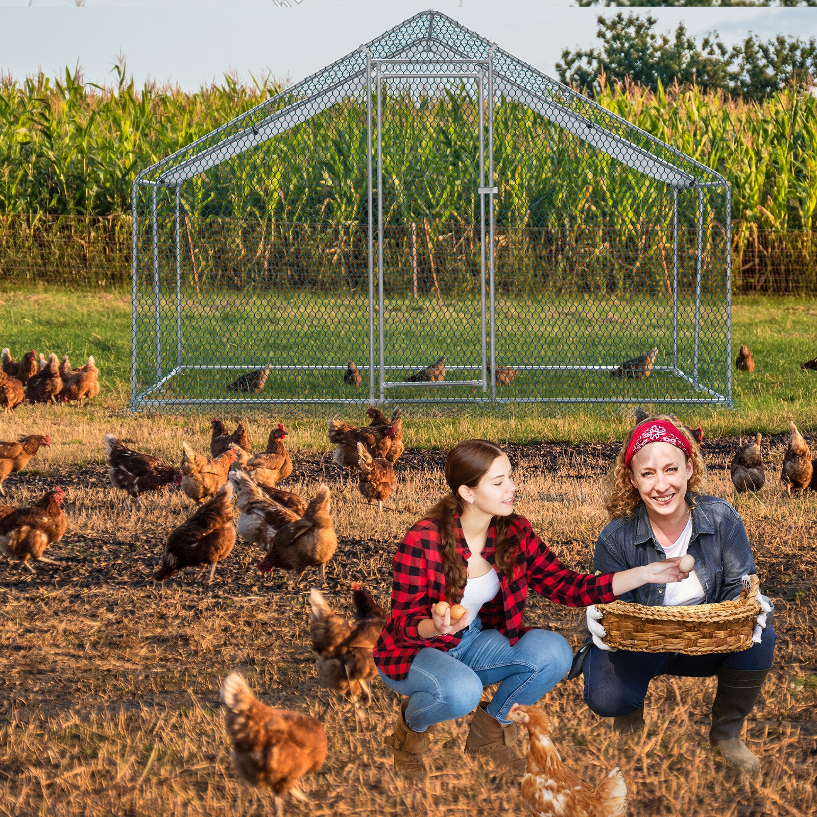 10 x 10FT Metal Walk In Chicken Coop Run Cage Rabbit Hutch Hen House Enclosure