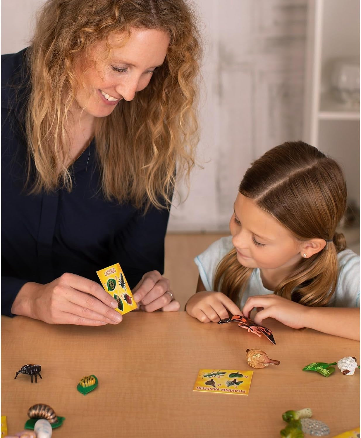 's Life Cycle Figurines 24 Pc Set | Butterfly, Ladybug, Frog, Honey Bee, Ant and Praying Mantis | 4 Stages Per Insect, 24 Figurines Total