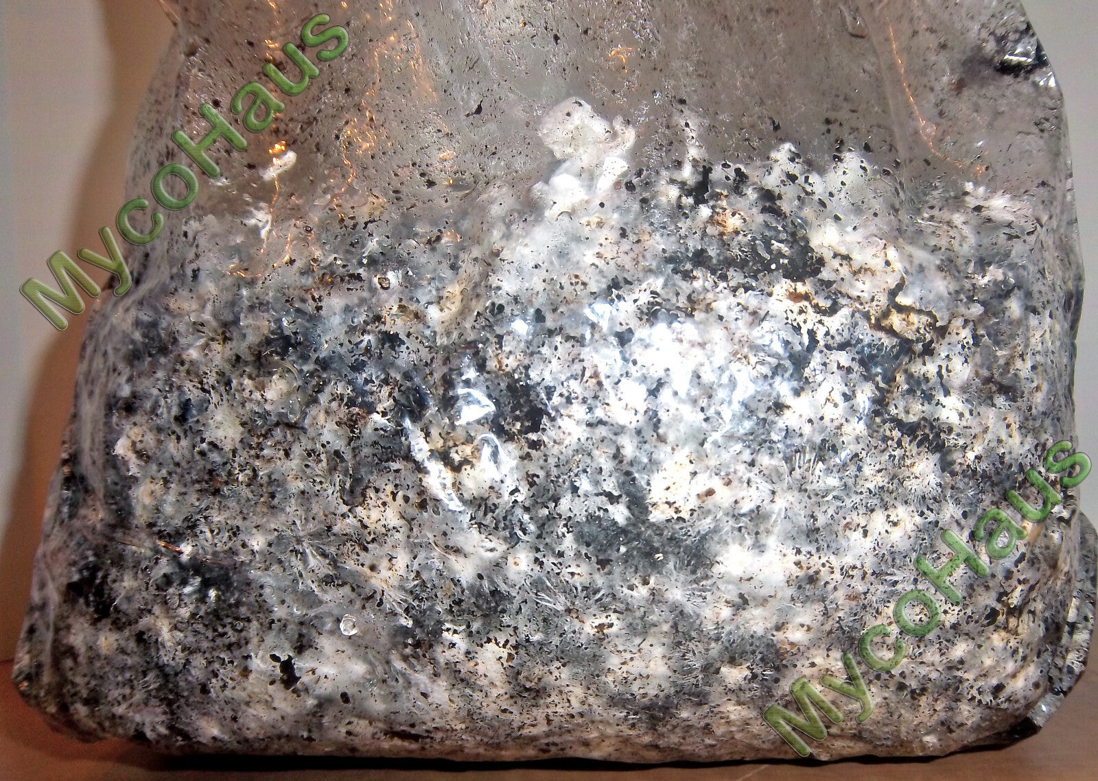 MycoHaus 2X Five LB Bags Sterilized Compost Bulk Mushroom Substrate  Grow Kit