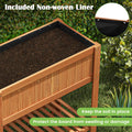 Raised Garden Bed Elevated Planter Box Shelf Standing Garden Herb Garden Wood