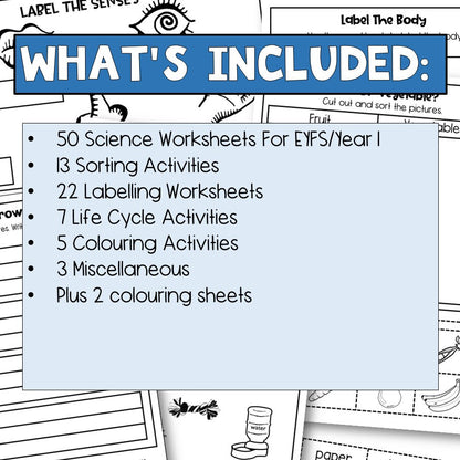 Science Worksheets For Kindergarten And Homeschool