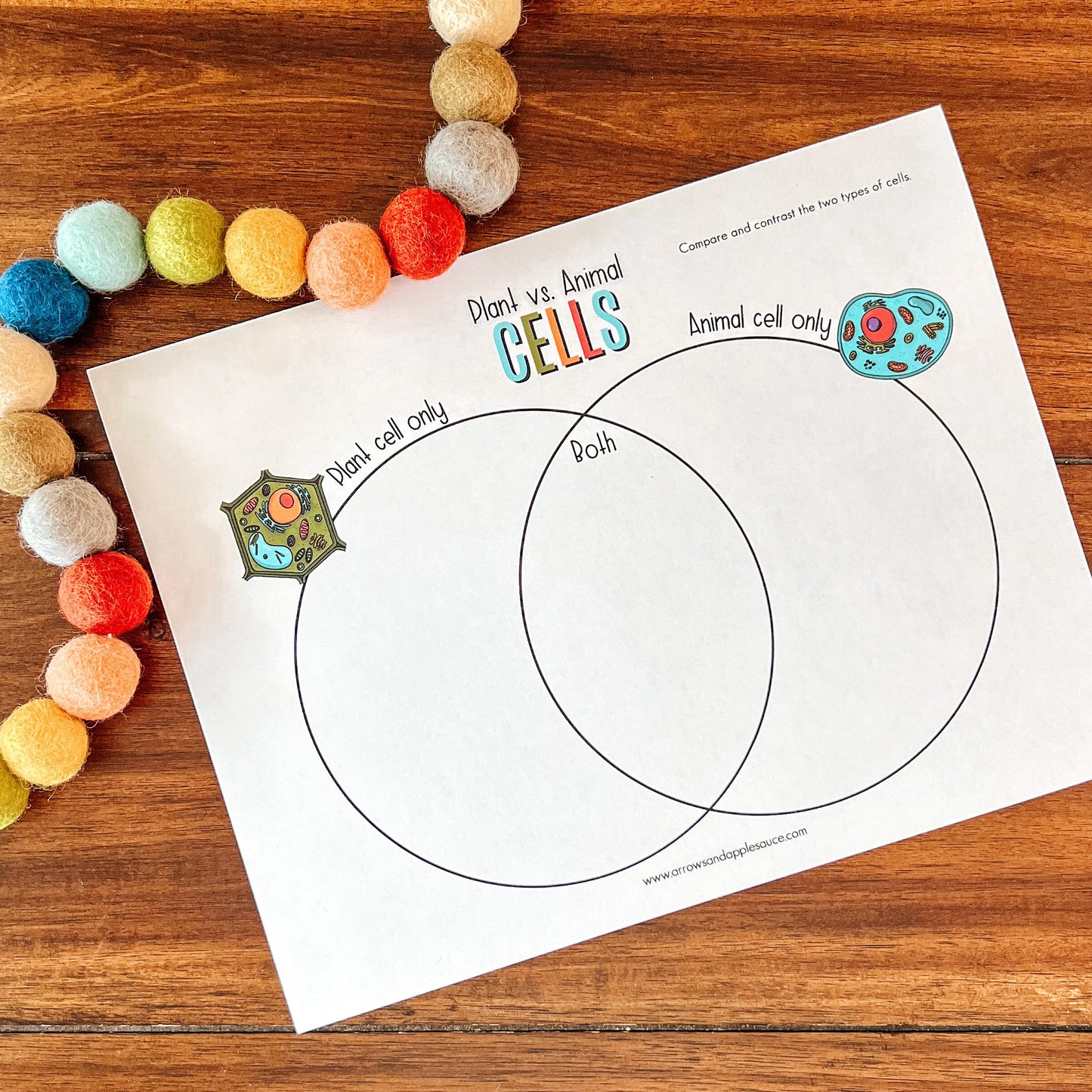 Cell Structure Diagram Printable Bundle, Plant Cell, Animal Cell, Biology Lesson, Kids Homeschool Activity, Earth Science, Coloring Page