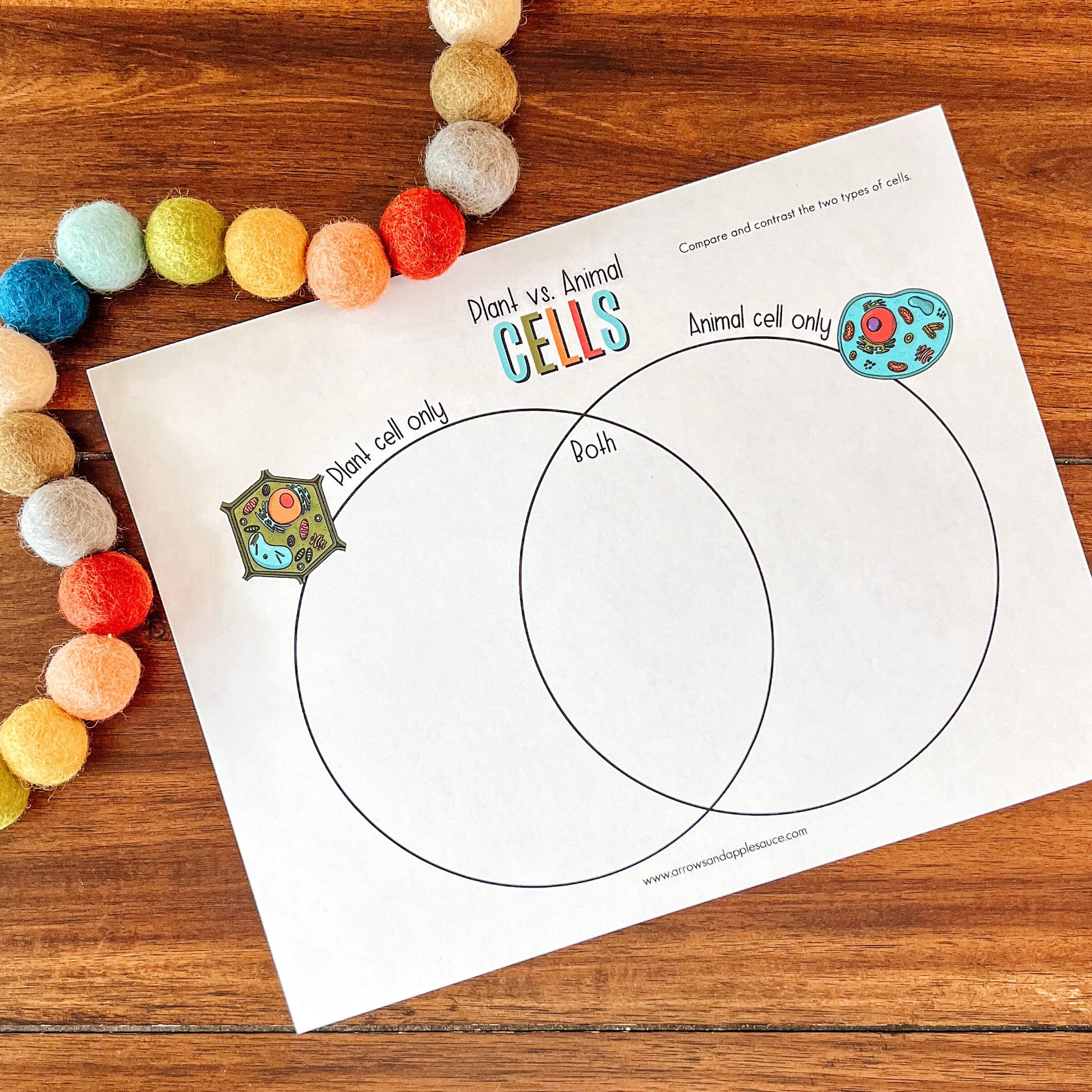 Cell Structure Diagram Printable Bundle, Plant Cell, Animal Cell, Biology Lesson, Kids Homeschool Activity, Earth Science, Coloring Page