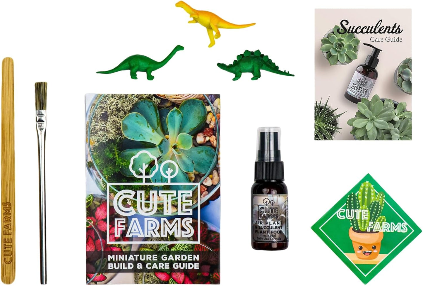 Terrarium Starter Kit | Moss, Vermiculite, Soil, Pebbles, Plant Food, Finishing Tools, Build and Care Guide | DIY Succulent Terrarium Kit for Adults and Kids (Large Kit)