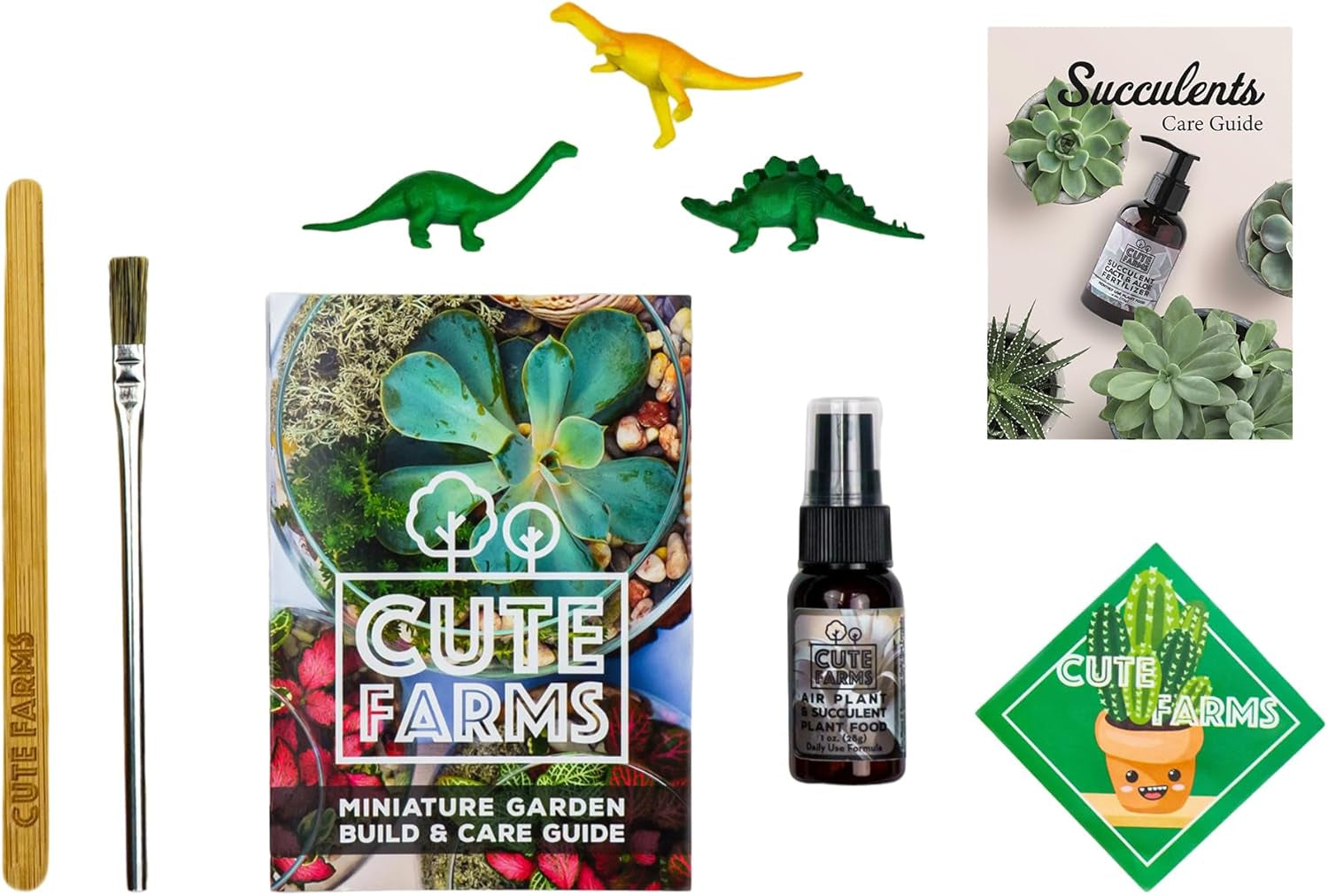 Terrarium Starter Kit | Moss, Vermiculite, Soil, Pebbles, Plant Food, Finishing Tools, Build and Care Guide | DIY Succulent Terrarium Kit for Adults and Kids (Large Kit)