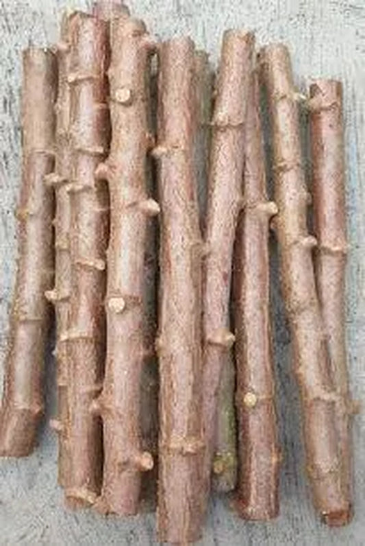 5 Yucca Cassava cuttings for propagation