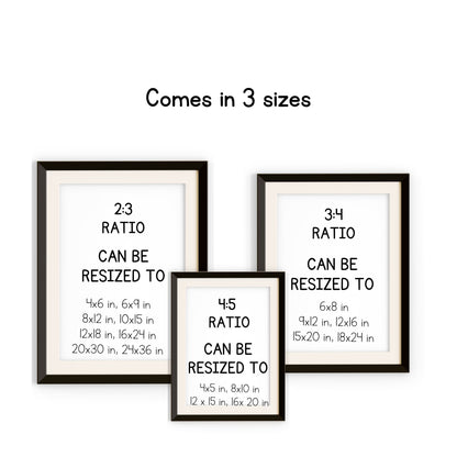 Life Cycle Insect / Bugs Educational posters set of 9, Homeschool learning, Montessori Classroom Décor, Wall Art - with states labeled