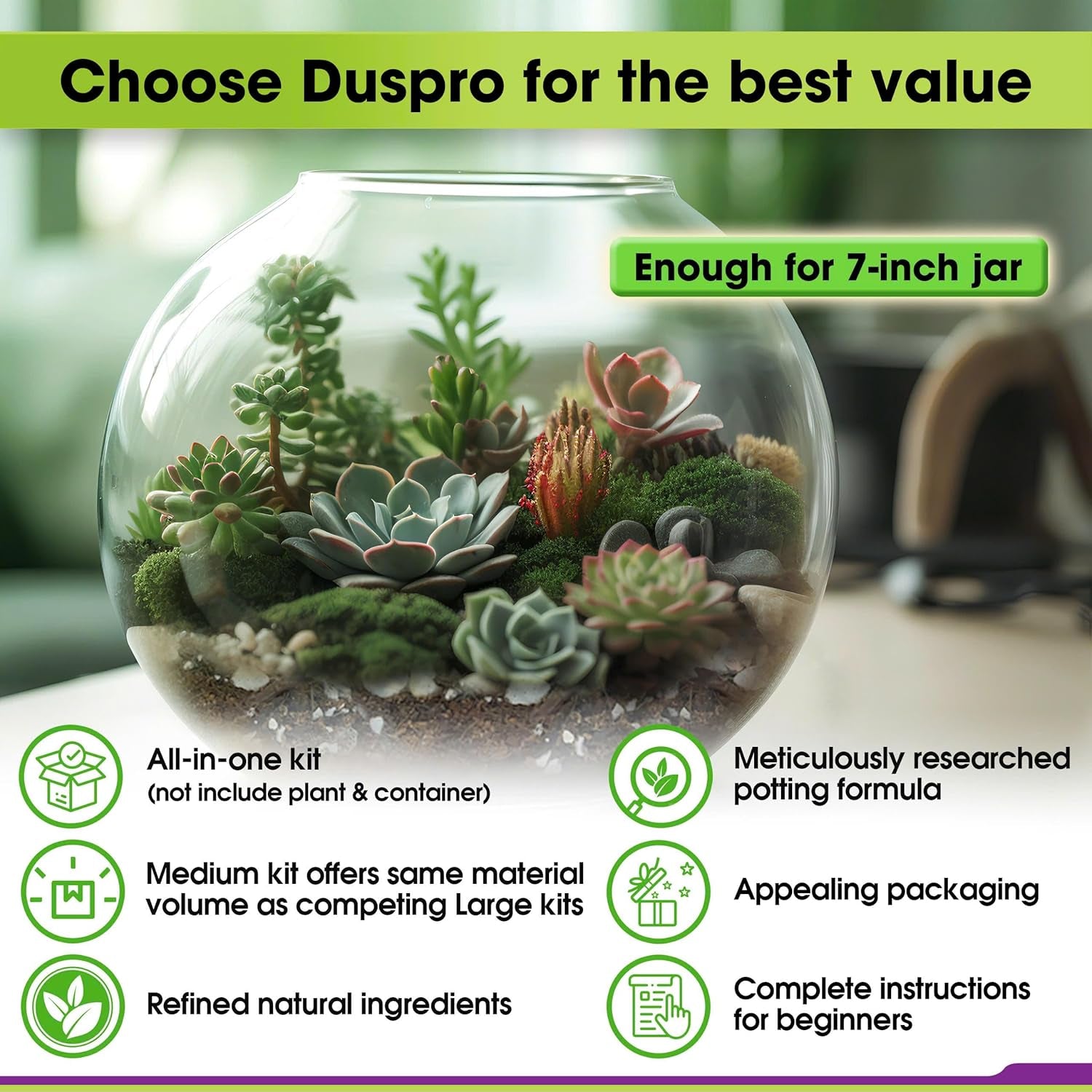 Recycle Terrarium Kit, Include Terrarium Potting Soil, Pumice, Zeolite, Green Moss, Sphagnum Moss, Decorative Stone, Mesh, Tools, DIY Terrarium Starter Kit for Kids, Air Plant, Succulent
