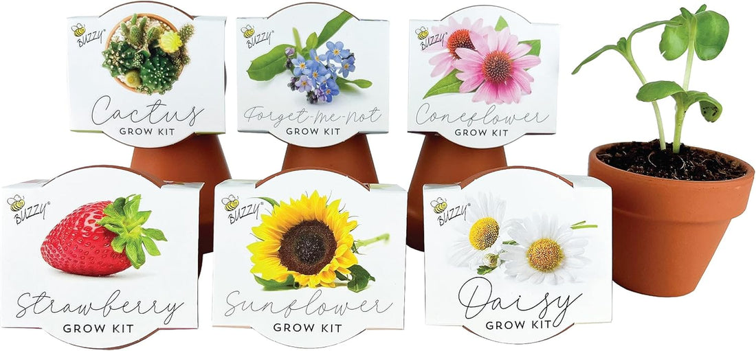Seeds Terracotta Mini Grow Pots 6-Pack – Indoor Gardening Seed Starter Kit with Herbs & Flowers – DIY Grow Your Own Plants Kit for Beginners