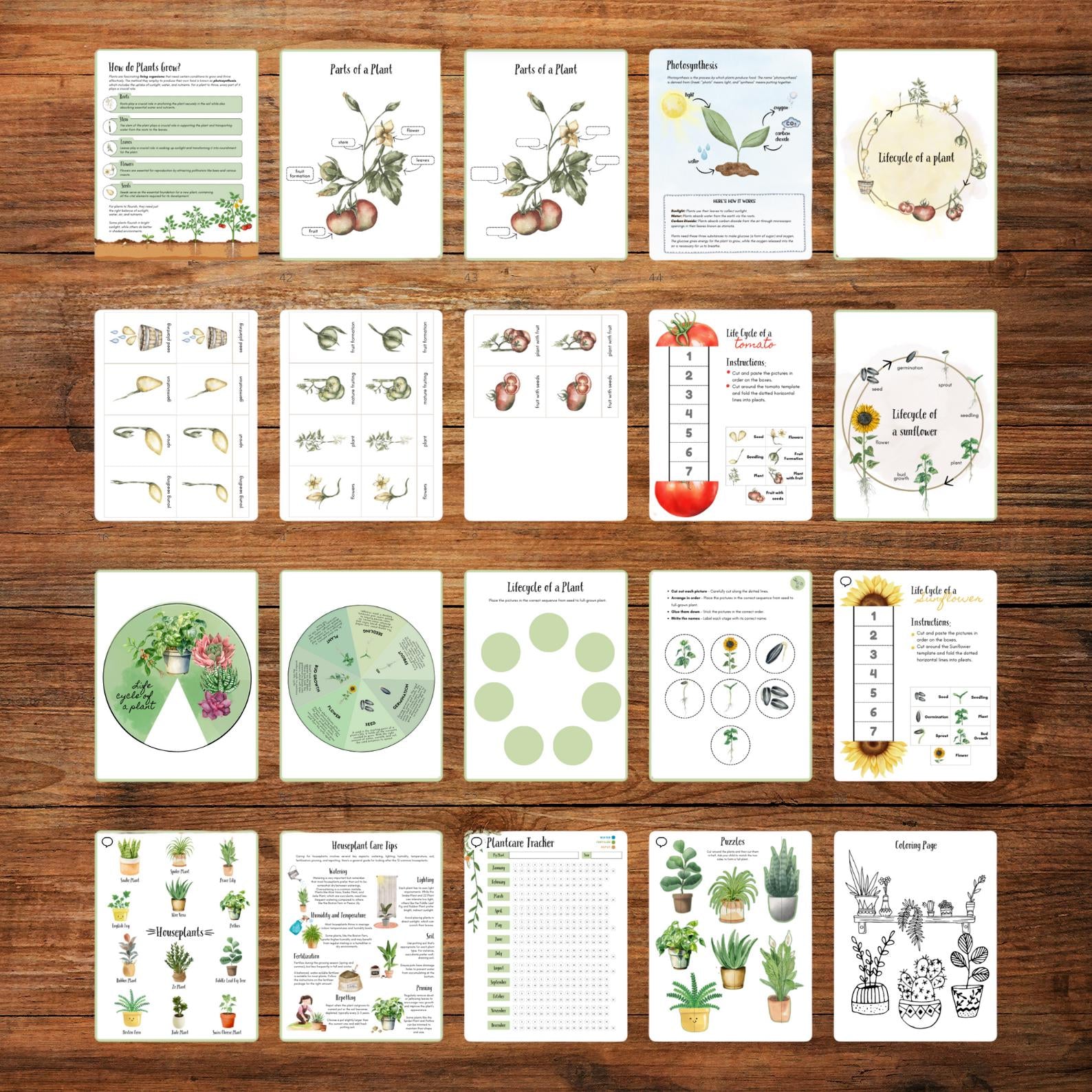 Gardening Activity Book Printable for Kids Garden Study Nature Unit Early Learning 115 Pages Science Literacy Math