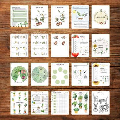 Gardening Activity Book Printable for Kids Garden Study Nature Unit Early Learning 115 Pages Science Literacy Math