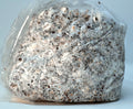 Premium 5-Grain Mushroom Spawn Bags | Sterilized Grain Bags | Injection Ports