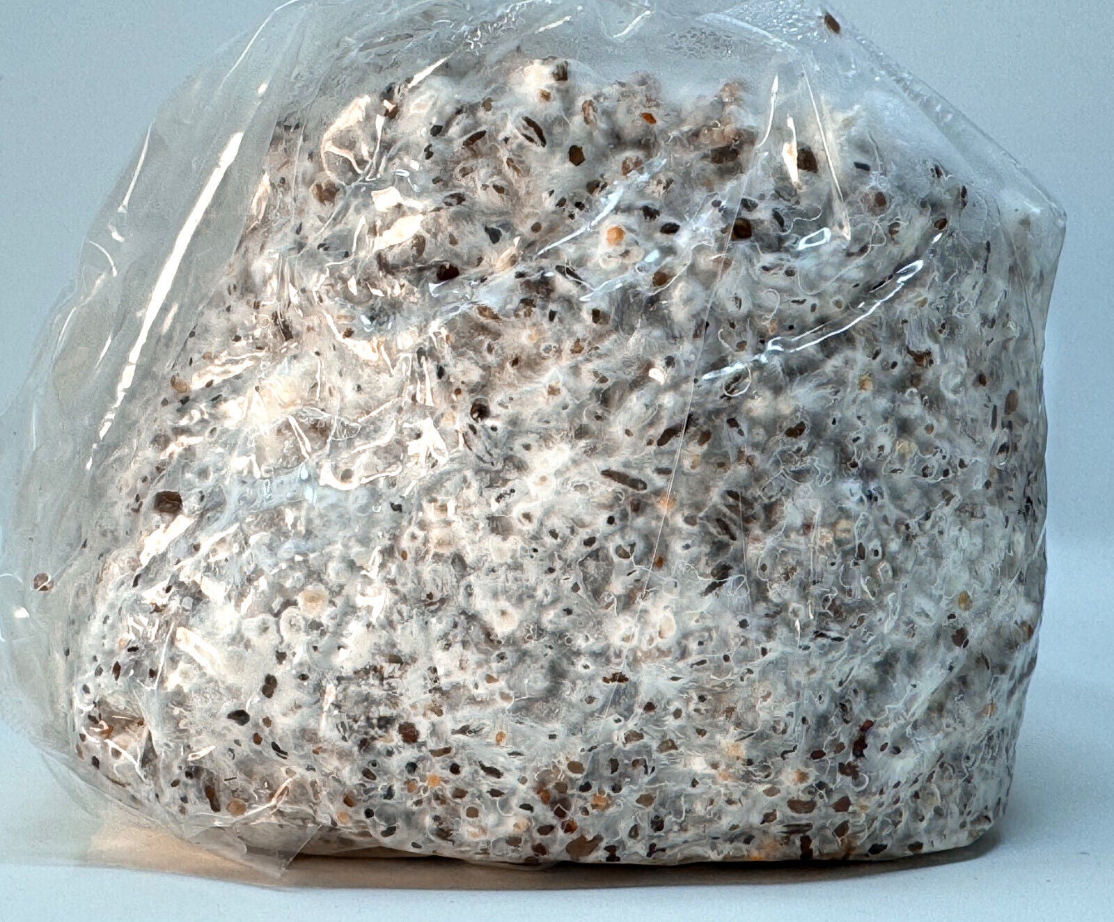 Premium 5-Grain Mushroom Spawn Bags | Sterilized Grain Bags | Injection Ports