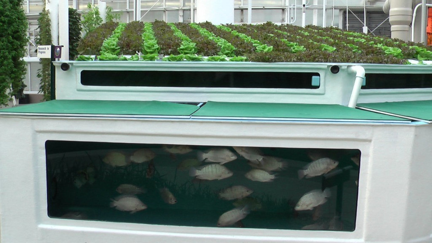 Hydroponics Aquaponics CD Aquaculture Soilless Growth Raising Plants Fish 80 bks