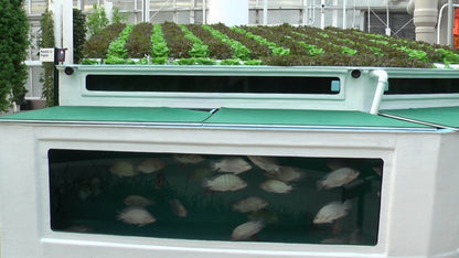 Hydroponics Aquaponics CD Aquaculture Soilless Growth Raising Plants Fish 80 bks