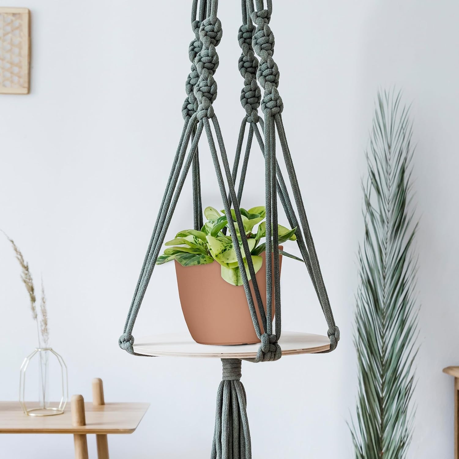 - Plastic Terracotta Pots with Drainage - 7/6.6/6/5.3/4.8 Inches Flower Pots for Indoor Planter - Pack of 5 Plastic Planters, Cactus, Succulents Pot