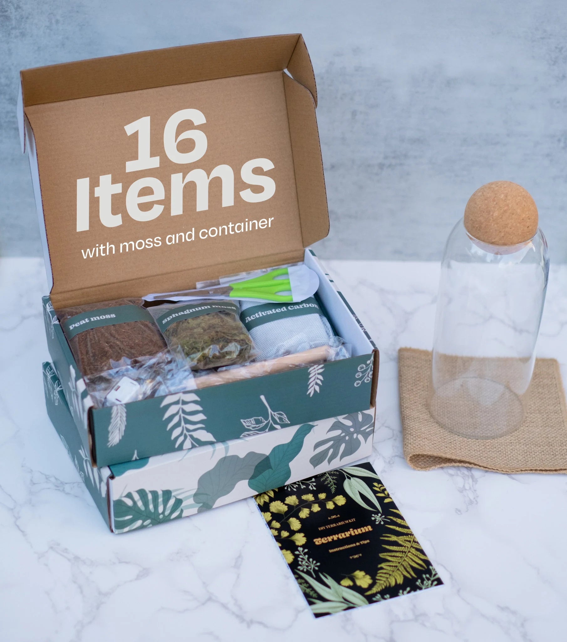 Complete Closed terrarium kit with live plants and live moss, bioactive terrarium, sealed terrarium kit / science kit for kids, mothers day