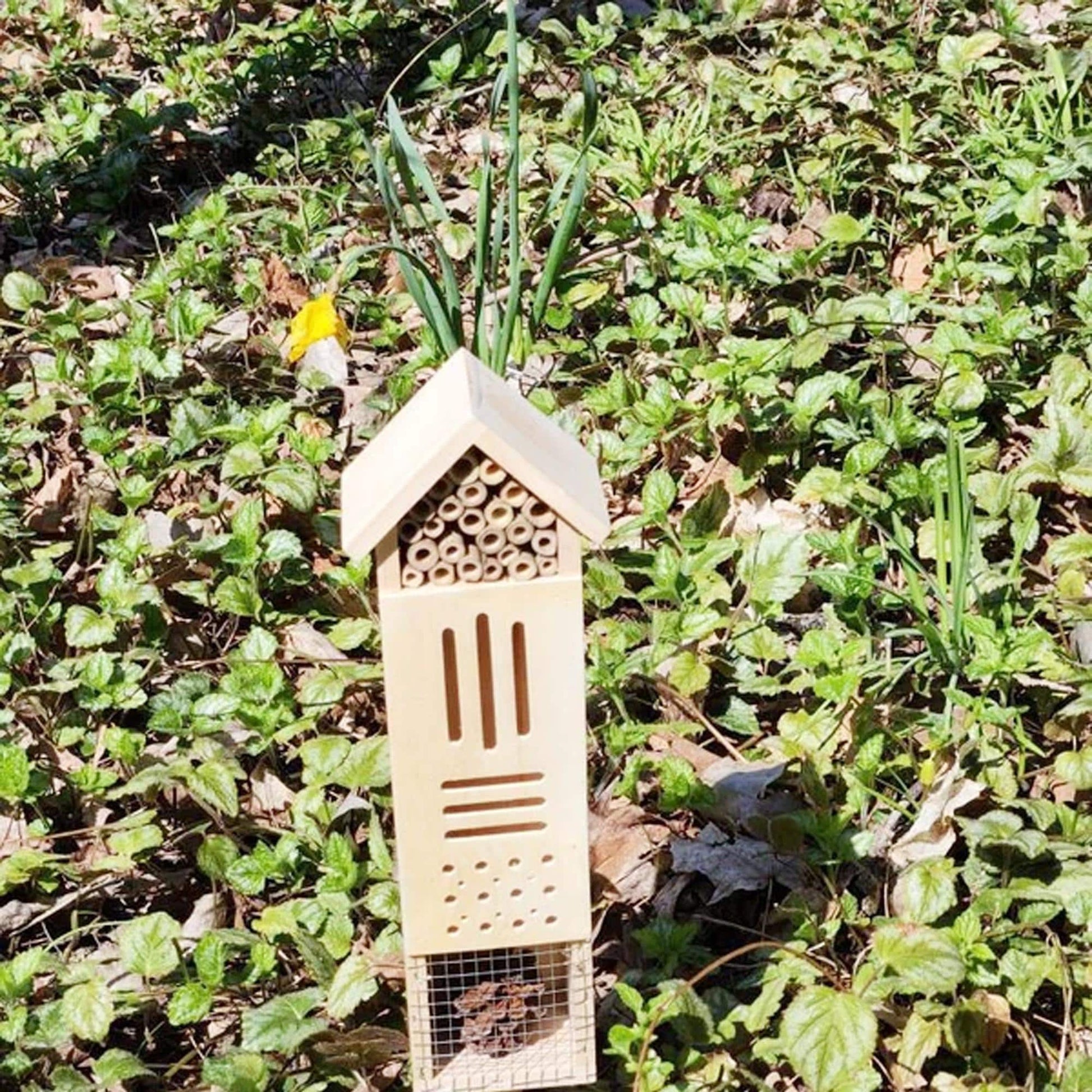 Best-Seller Wooden Insect Hotel for Bees, Butterflies, & Ladybugs, Hangable or Stakable Garden Beehive Gift
