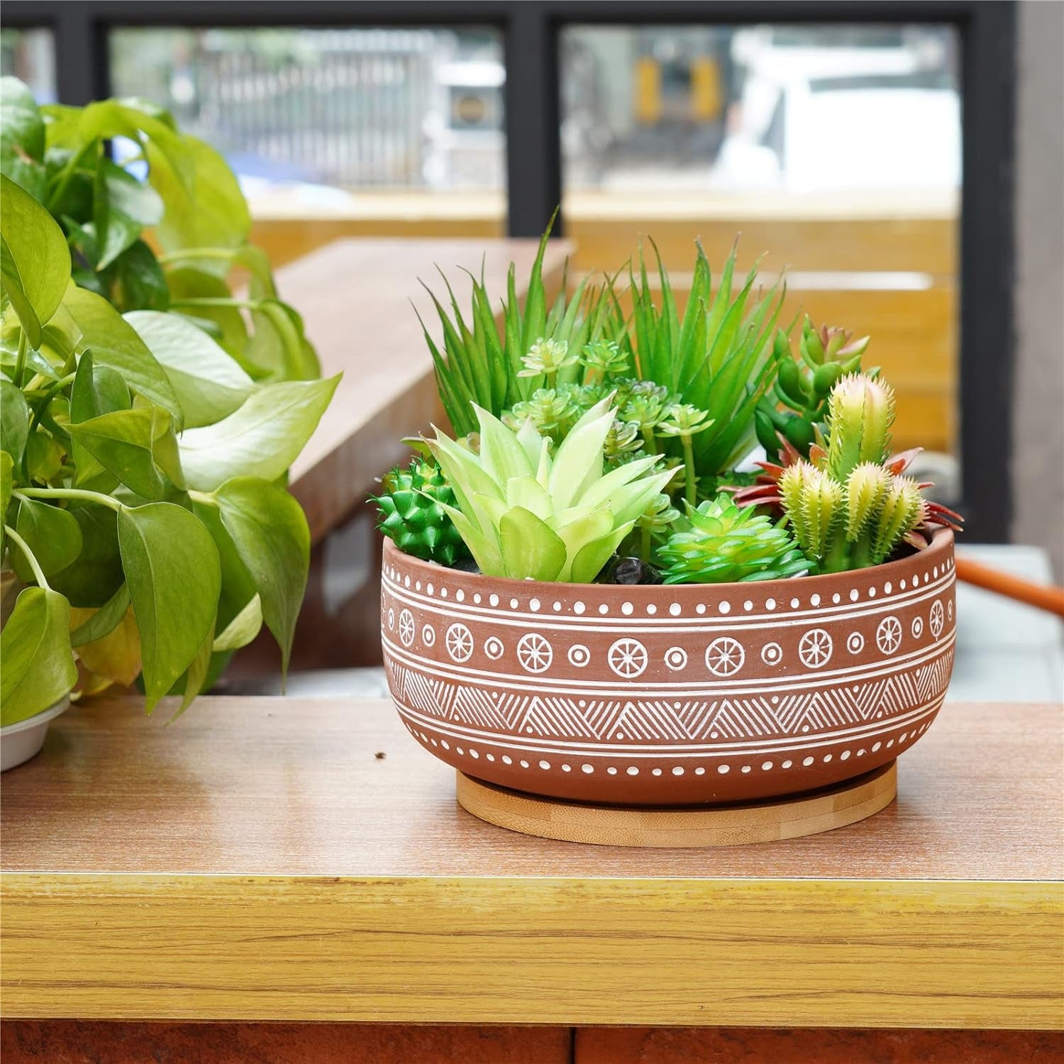 8 Inch Terracotta Succulent Planter Pot with Drainage Hole and Bamboo Tray, Round Shallow Bonsai Pot for Indoor Plants