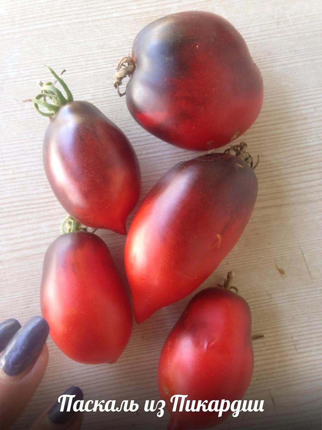 Pascal di Picardie tomato seeds
