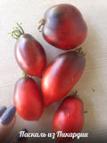 Pascal di Picardie tomato seeds