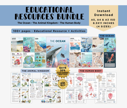3 Unit Study BUNDLE Educational Resources for Teachers, Homeschool and Montessori Learning Spaces, Watercolor Illustrations
