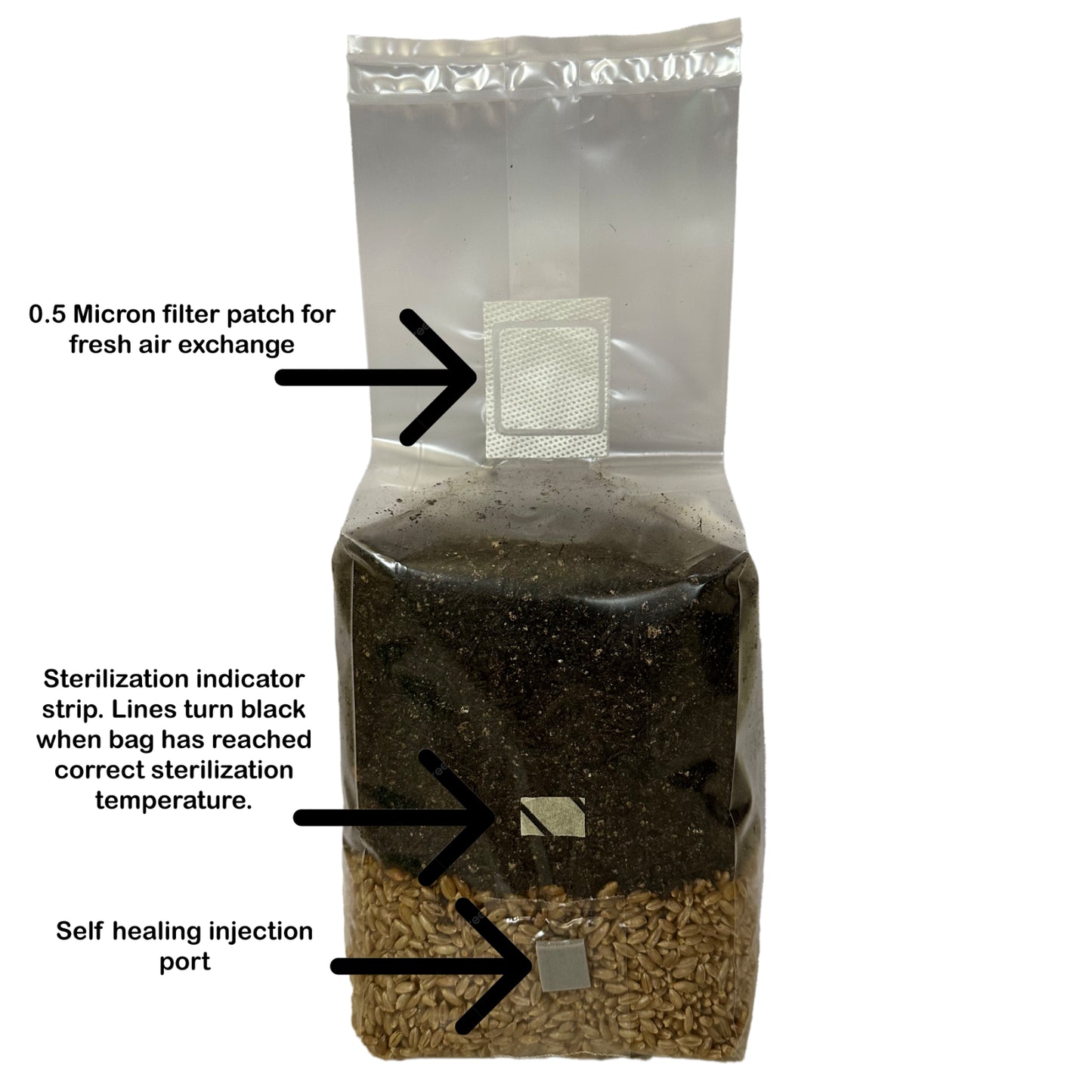 MycoHaus All in One 5 Pound Spawn Bag Rye & Compost Mushroom Substrate Grow Kit
