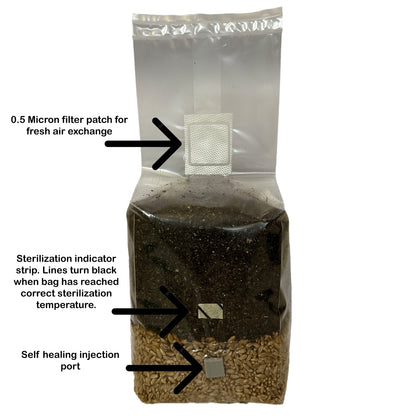 MycoHaus All in One 5 Pound Spawn Bag Rye & Compost Mushroom Substrate Grow Kit