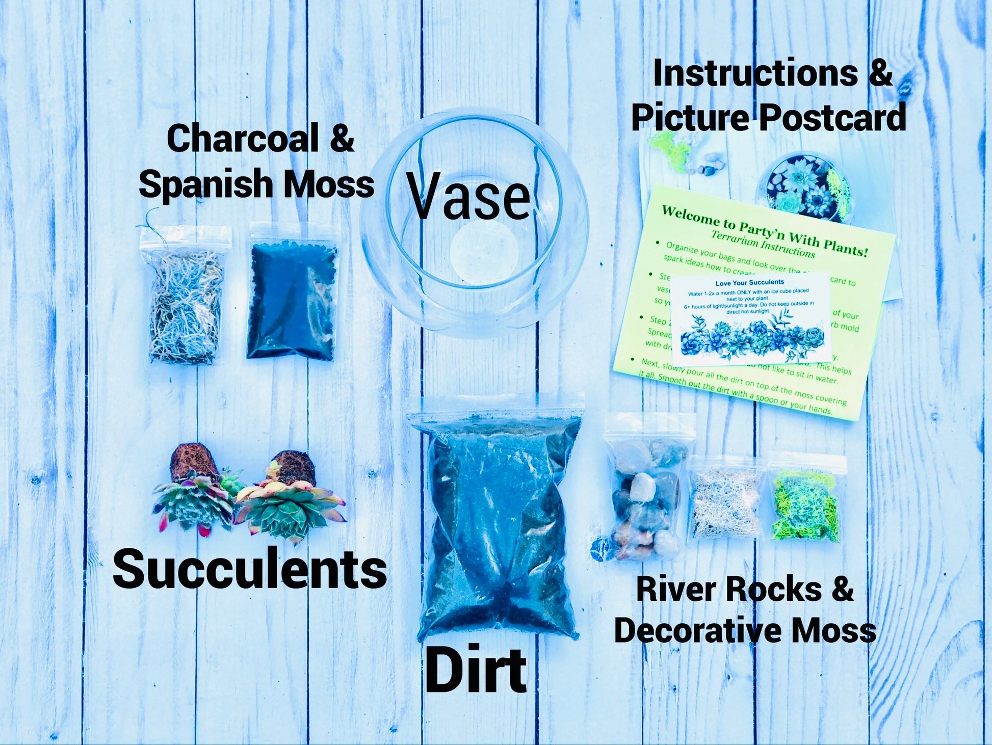 Terrarium Kit, Small Succulent Terrarium Kit, DIY Glass Terrarium, Terrarium Gift, DIY Plant Kit