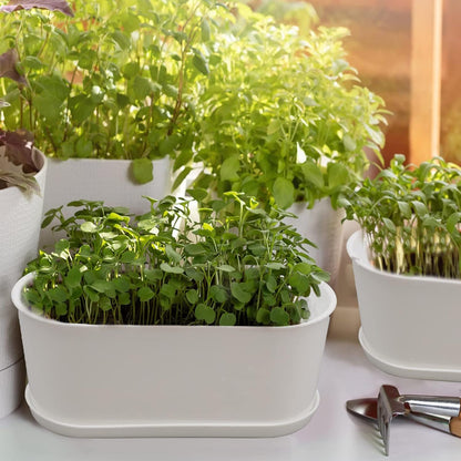 10-Pack Herb Planter with Saucer for Plant Window Box, Plastic Planter with Multiple Drainage Holes and Tray for Home Garden Succulents Modern Decorative Window Planter Box Flower Pots Gardening Pot