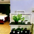 LED Grow Light Plant Stand with two Shelves & Two 10 W Full-Spectrum Light Bars for Seed Starting