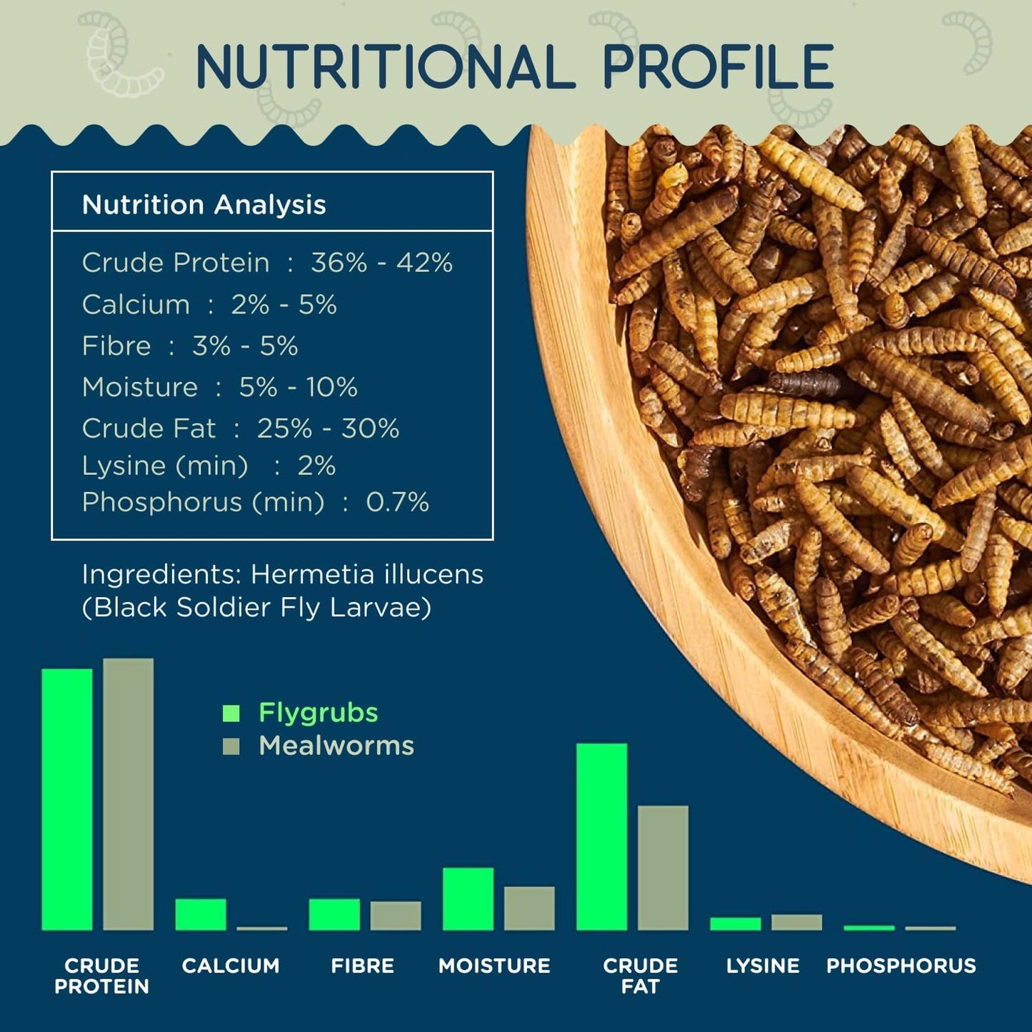 10 lb Dried Black Soldier Fly Larvae - High Calcium Chicken Feeder - 85X More Calcium, Non-GMO Meal Worms for Wild Birds, Ducks, Turkeys, Quails, Turtles - Nutrient-Rich BSFL