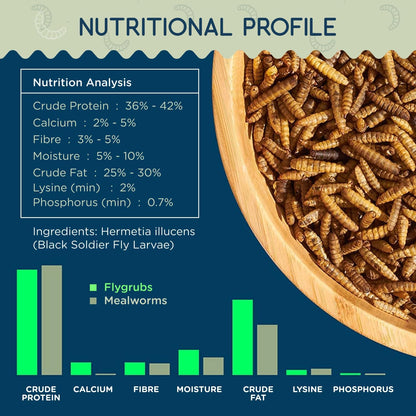 10 lb Dried Black Soldier Fly Larvae - High Calcium Chicken Feeder - 85X More Calcium, Non-GMO Meal Worms for Wild Birds, Ducks, Turkeys, Quails, Turtles - Nutrient-Rich BSFL