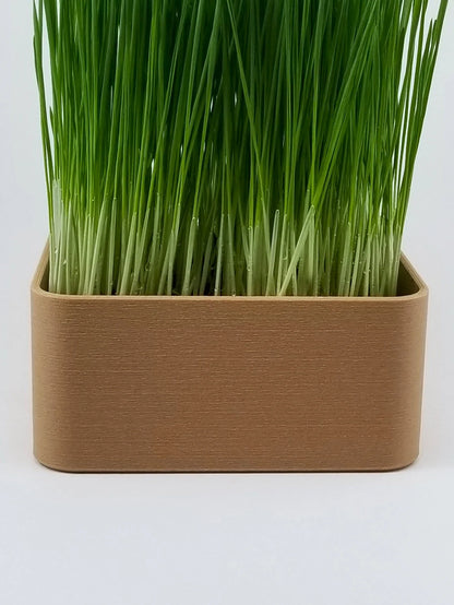 Organic Wheat Grass Grow Kit - Easy Grow Wheat Grass with Decorative Planter