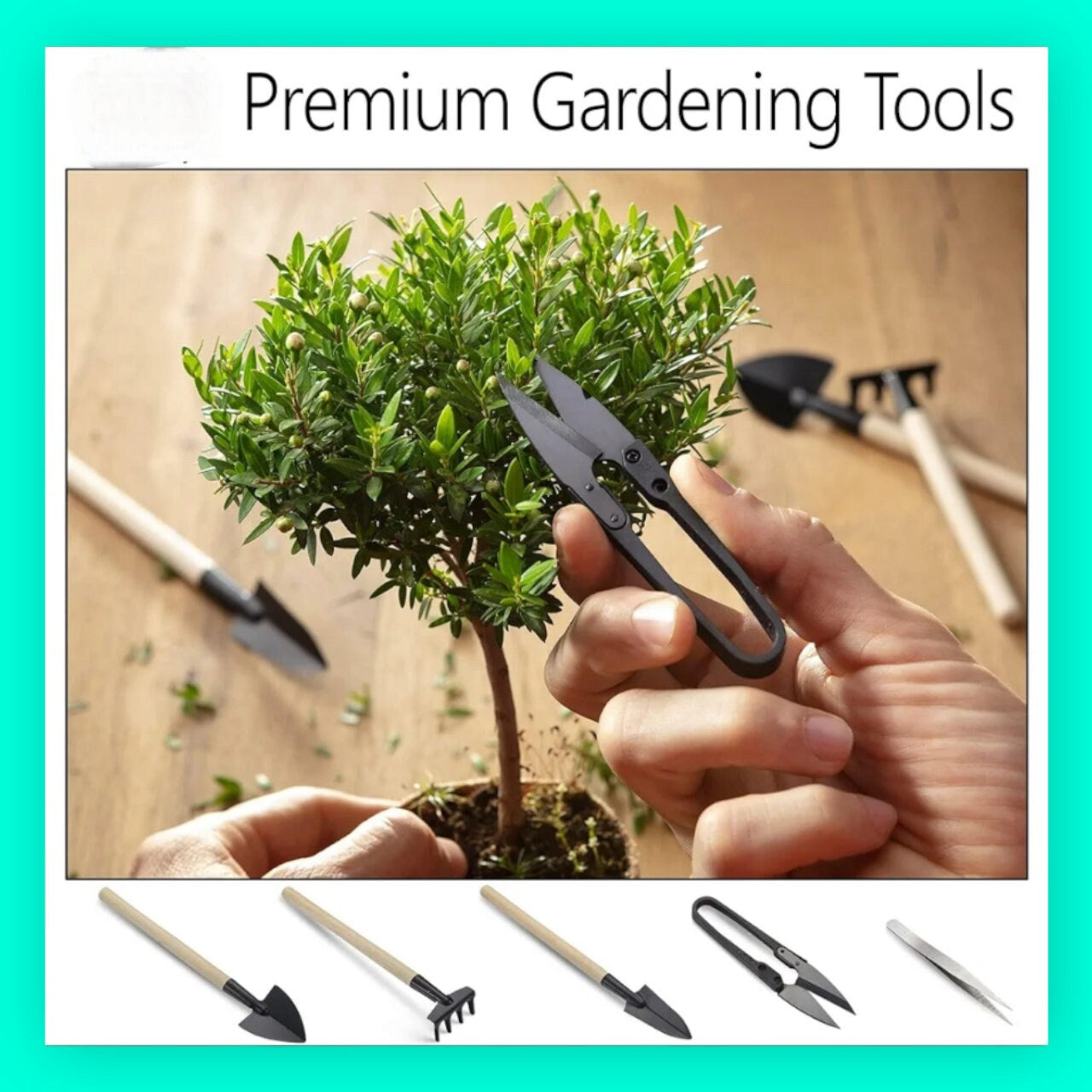 Complete Bonsai Tree Kit for Beginners and Enthusiasts | Grow 5 Unique Japanese Bonsai Trees | Indoor Gardening Gift with Tools & Planters