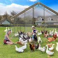 Metal Chicken Coop 6.5/13/20 FT Large Walk-in Hen Cage House with Cover Roof NEW