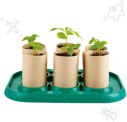 Plant Growing Wooden Greenhouse Kits for Kids STEM Project Activity| Green Toys Gardening Science Gifts for Kids Ages 4Y+