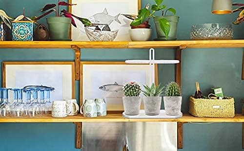 Indoor Garden Led Grow Light:Herb Kitchen Garden Grow Kit - House Plant Growing Lamps Growing System with Timer -4 Dimmable Modes