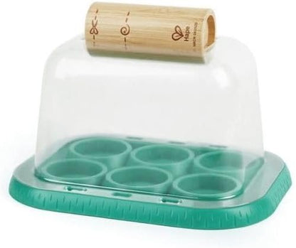 Plant Growing Wooden Greenhouse Kits for Kids STEM Project Activity| Green Toys Gardening Science Gifts for Kids Ages 4Y+