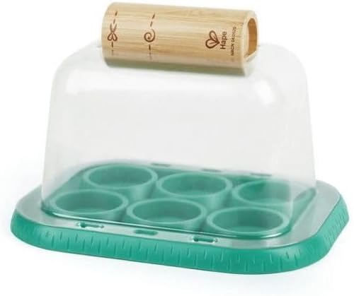Plant Growing Wooden Greenhouse Kits for Kids STEM Project Activity| Green Toys Gardening Science Gifts for Kids Ages 4Y+